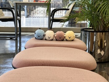 新しい仲間が増えました